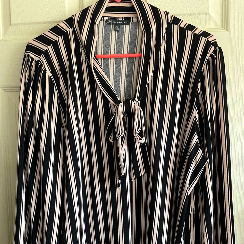 Classy Dress Blouse, like new, never worn
